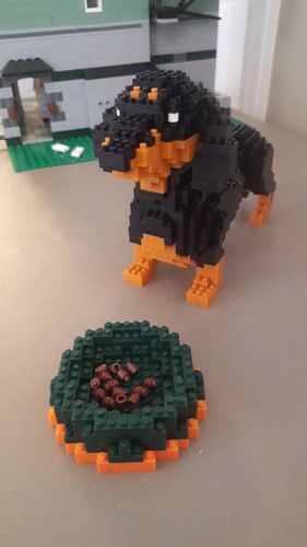 Customer photo review of Dachshund mini blocks puzzle 898 pieces