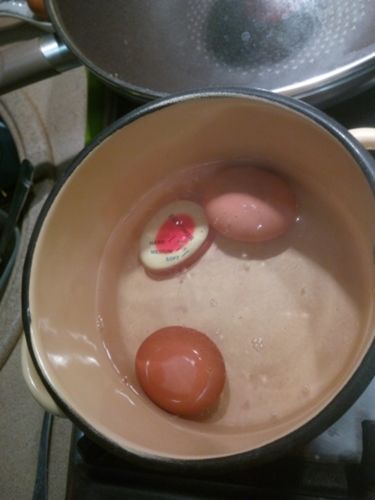 Customer photo review of ColorShift Egg Timer