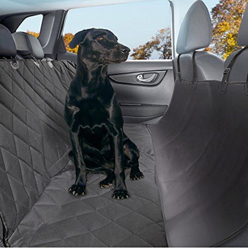 Customer photo review of Pet Car Hammock