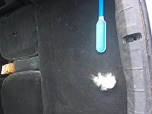 Customer photo review of Fur Wizard