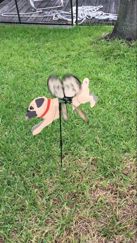 Customer photo review of Pug Dog Petite Wind Spinner