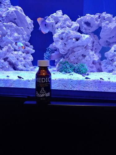 Customer photo review of Medic