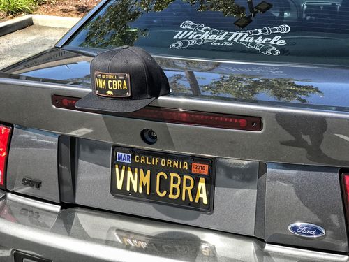 Customer photo review of California 60's Plate Hat