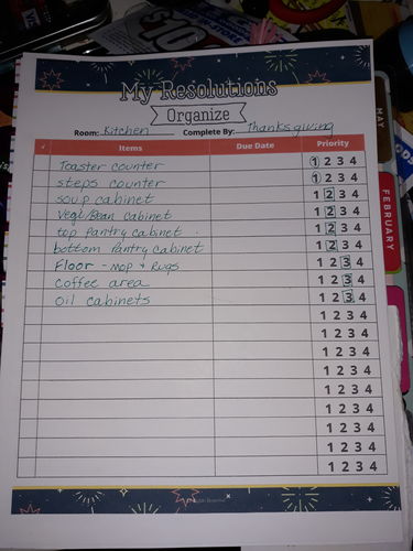 Customer photo review of My Resolution Planner ( 29 Pages )