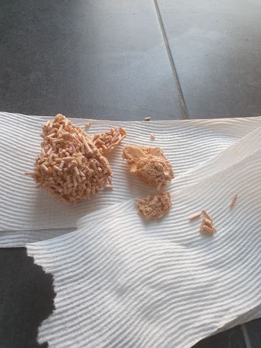 Customer photo review of Michu Tofu Natural Clumping Cat Litter 2.5kg/6L