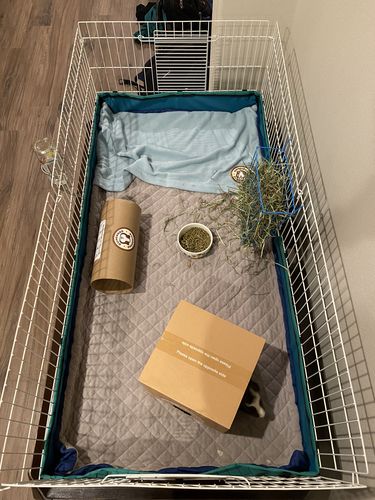 Customer photo review of GuineaDad Liner- Full Sizes with Pockets