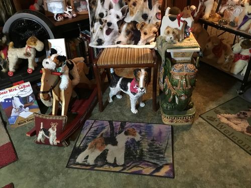 Customer photo review of You Will Have A Bunch Of Wire Fox Terriers - Blanket V1