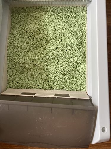Customer photo review of Michu Tofu Natural Clumping Cat Litter 2.5kg/6L