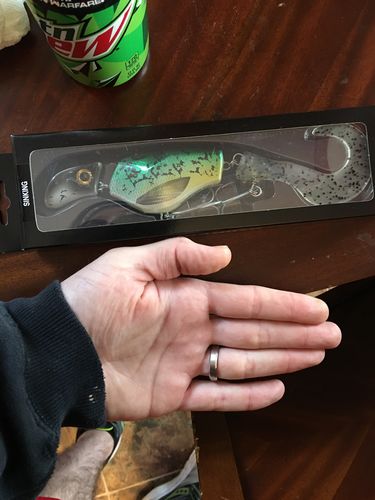 Customer photo review of Headbanger Tail 9"