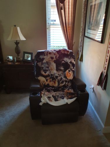 Customer photo review of You Will Have A Bunch Of Schnauzers - Blanket V1