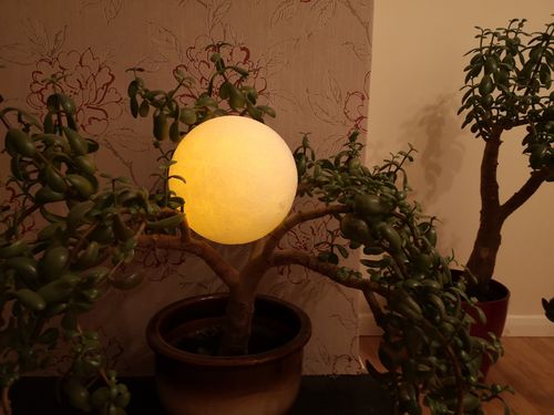 Customer photo review of The Original Moon Lamp™