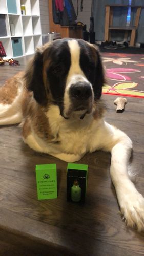 Customer photo review of Strong Paws CBD Recovery Drops - 2000MG