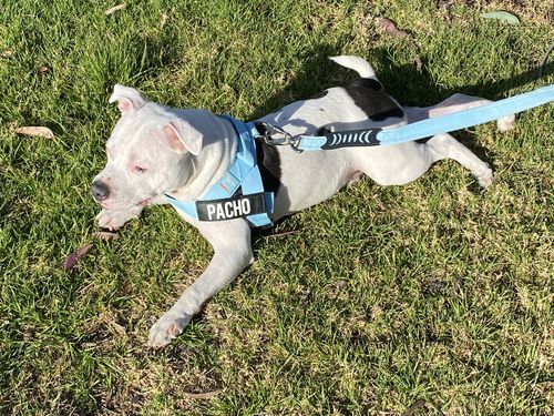 Customer photo review of Signature Kit