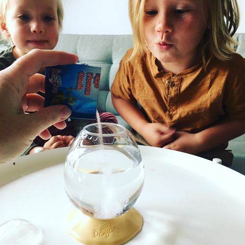 Customer photo review of Aqua Dragons Jurassic Time Travel EGGspress