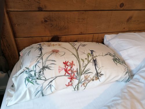 Customer photo review of Hummingbird Pure Silk Pillowcase