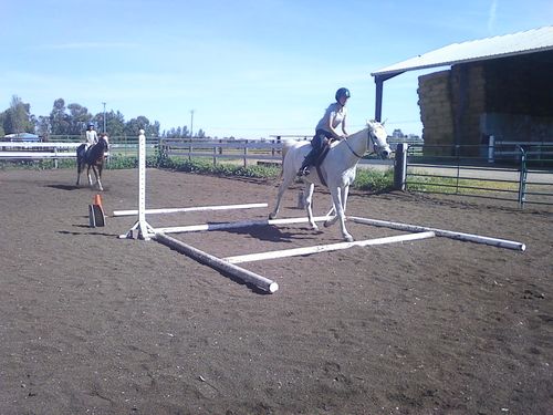 Customer photo review of Joint Flex » 1 Gallon Bottle » Priority Shipping