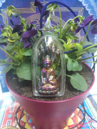 Customer photo review of Amulette Bouddha Phra Naphok Alchimique (Lek Lai Rung) - Wat Puthai Sawan.