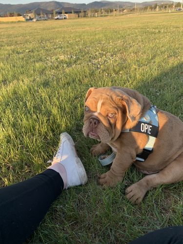 Customer photo review of Signature Kit