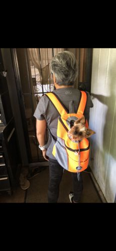Customer photo review of Petyfy™ Dog Backpack + Lifetime Warranty!