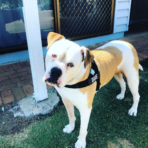 Customer photo review of Signature Kit