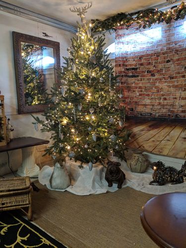 Customer photo review of Holiday Pie Bitters