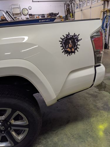 Customer photo review of Get In - It's Time For Shopping - Australian Cattle Car/ Door/ Fridge/ Laptop Sticker V1