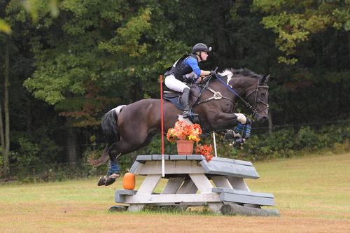 Customer photo review of XC Valor Saddle