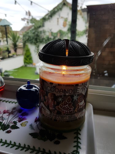Customer photo review of VIP Platinum Combo Club - 1 Large Jar Candle & 5 Wax Melts Auto renew