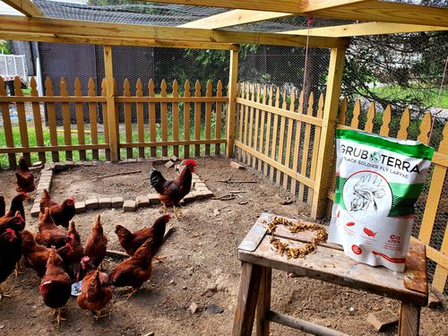 Customer photo review of GrubTerra Dried Larvae