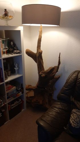 Customer photo review of Standlampe Teak Wurzelholz RIAZ | inkl. Lampenschirm