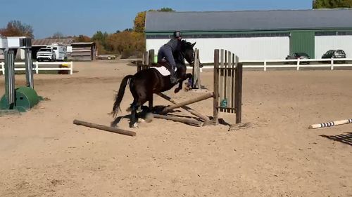 Customer photo review of Gut X » 50% Savings