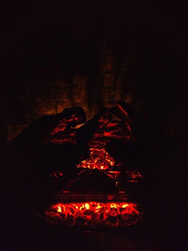 Customer photo review of Napoleon Woodland 27'' Electric Fireplace Log Insert