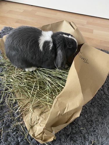 Customer photo review of Taster Pack