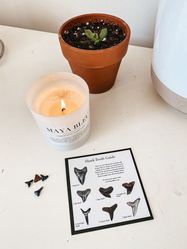 Customer photo review of Pumpkin Caramel Crunch - Original Shark Tooth Candle - White