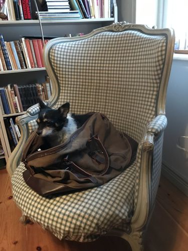 Customer photo review of Travel Bag