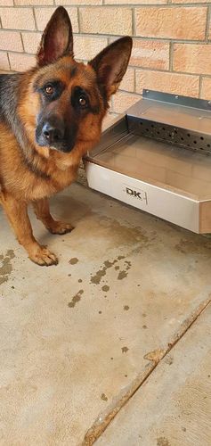 Customer photo review of Pet Rehydration Station XL