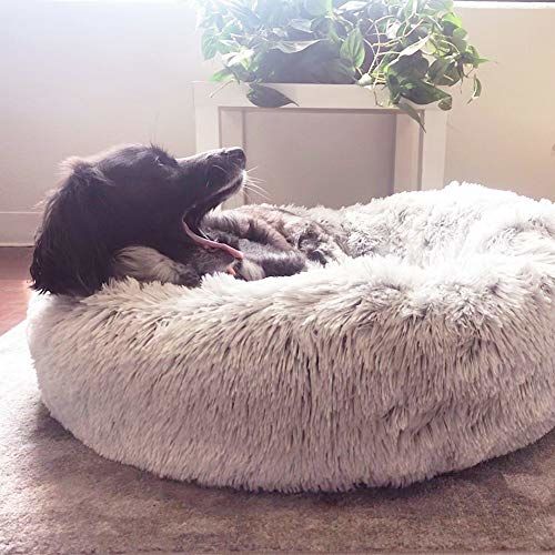 Customer photo review of Kuscheliges Hundebett "Wolke 7" ergonomisches Hundebett