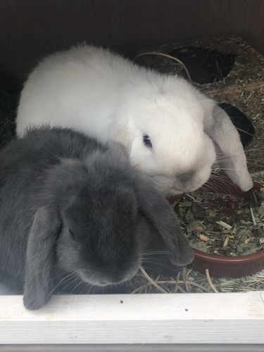 Customer photo review of 50/50 Hay Box