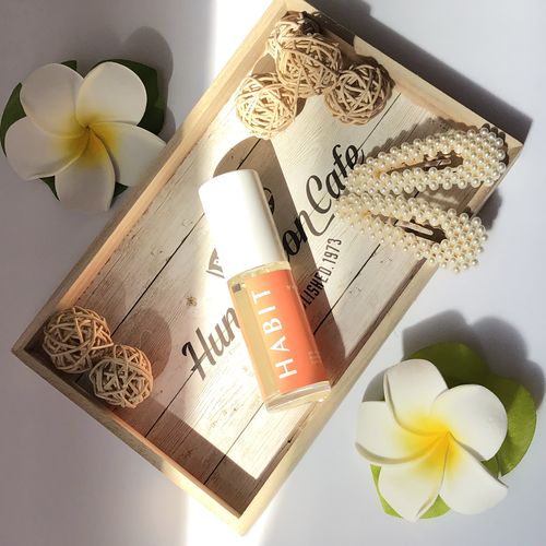 Customer photo review of get in the HABIT of voting