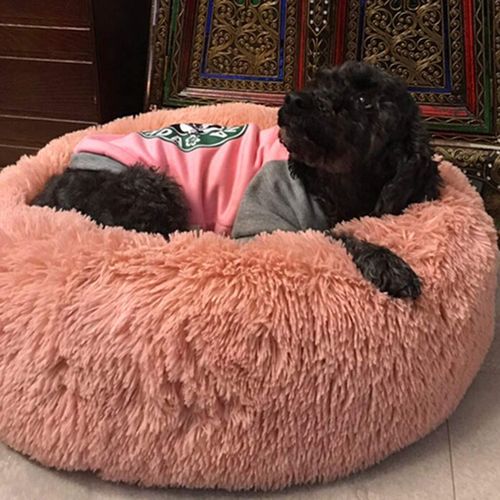 Customer photo review of Kuscheliges ergonomisches Hundebett "Wolke 7"