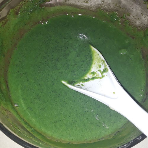 Customer photo review of Spirulina 250 g