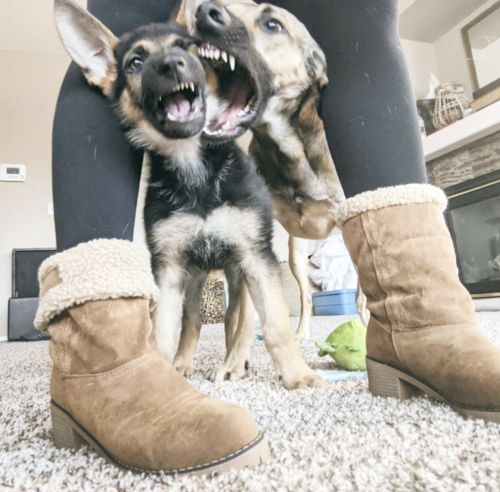 Customer photo review of Stylish Fold Warm Ankle Boots For Women