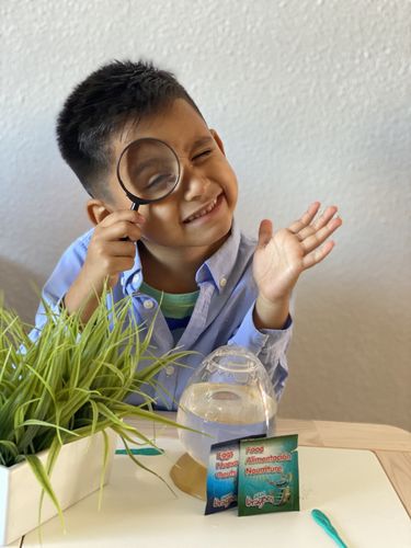 Customer photo review of Aqua Dragons Jurassic Time Travel Refill Kit