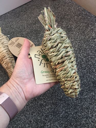 Customer photo review of Natural Grass Carrot