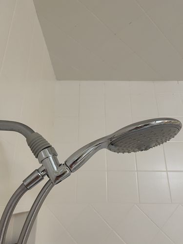Customer photo review of Universal Shower Head Holder