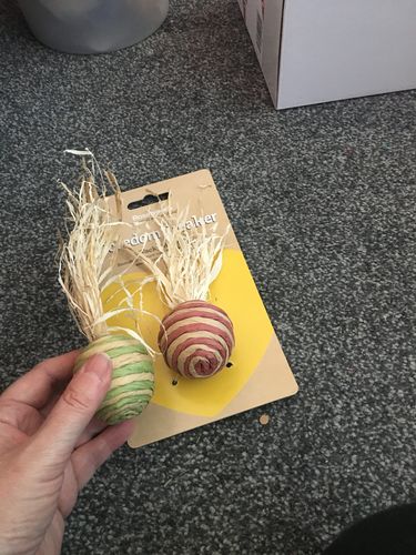 Customer photo review of Wacky Rollers