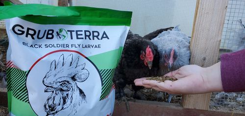 Customer photo review of GrubTerra Dried Larvae