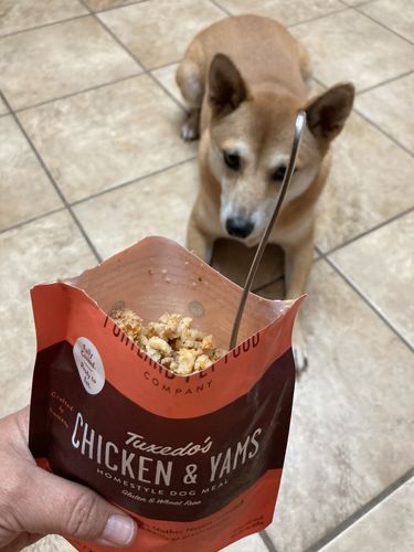 Customer photo review of Tuxedo's Chicken & Yams Meal Pouch
