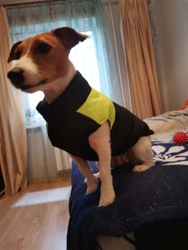 Customer photo review of Petyfy ™ Winter Jacket / Waterproof (Lifetime Warranty)