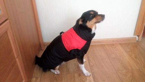 Customer photo review of Petyfy ™ Winter Jacket / Waterproof (Lifetime Warranty)